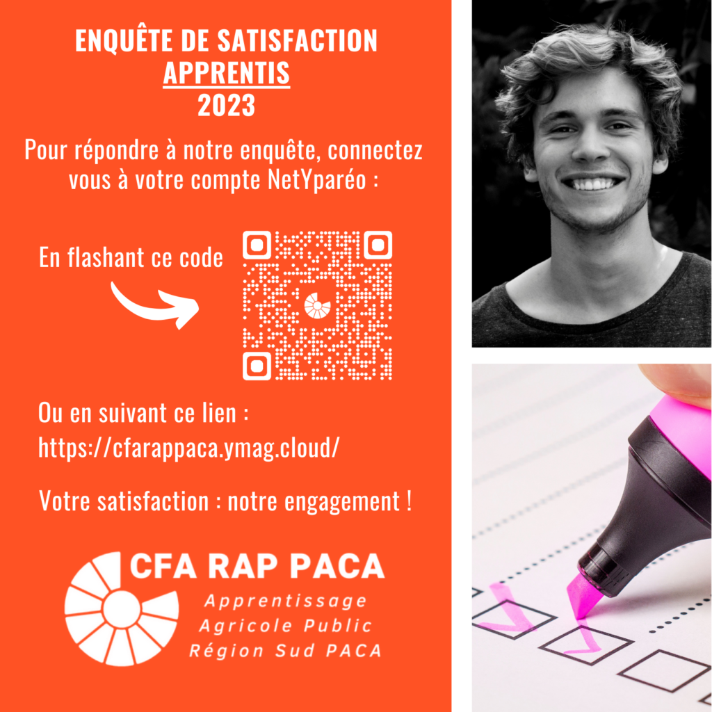 Questionnaire satisfaction apprentis